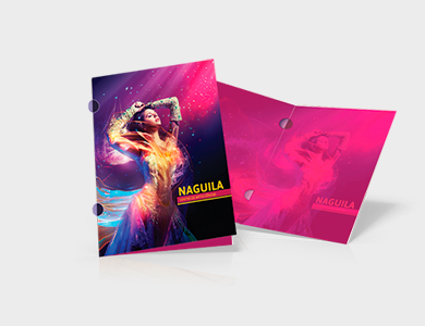 Pasta com Orelha Couchê 300g Verniz Total Frente 31x45cm - 4x4 - 500 unid